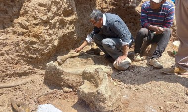 Fossilized mastodons uncovered in Peruvian Andes