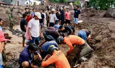 Landslide kills 15 at illegal gold mine in Sumatra