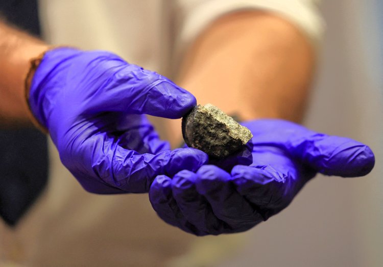 Scientists Unveil Meteorite in South Africa