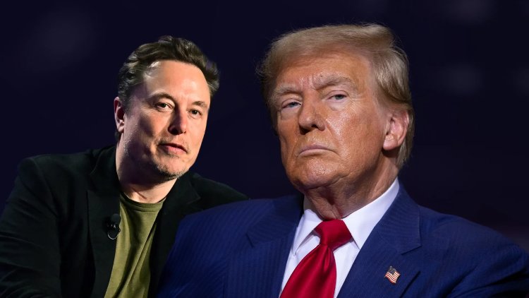 Trump Plans to Tap Elon Musk for Efficiency Task