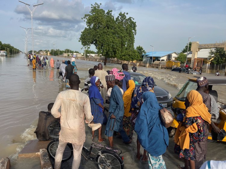 Nigeria Faces Crisis as Borno State Floods Hit Hard