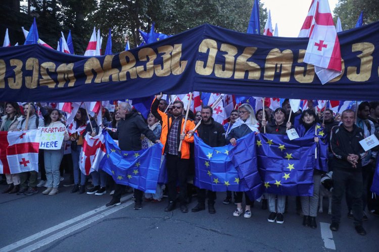 Georgian president rallies for pro-EU future