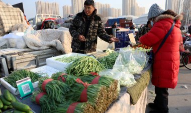 China's inflation eases to 0.3% in October