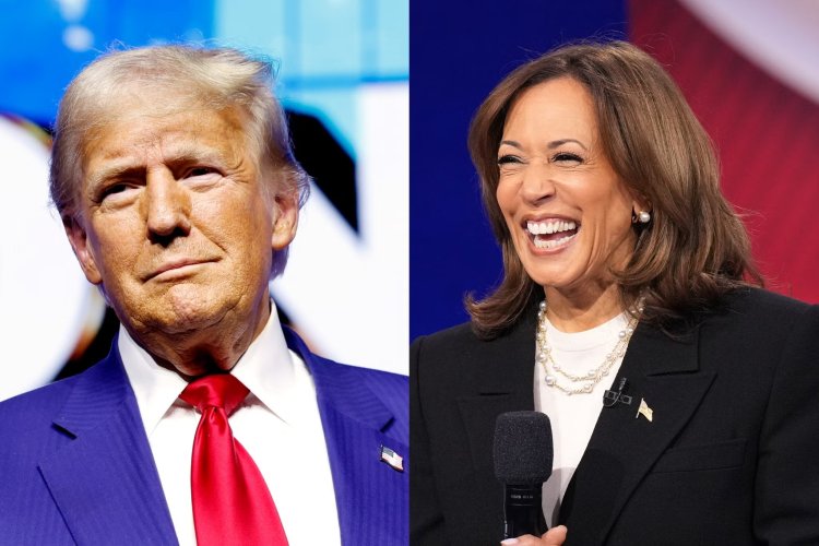 Trump and Harris hold last rallies in swing states