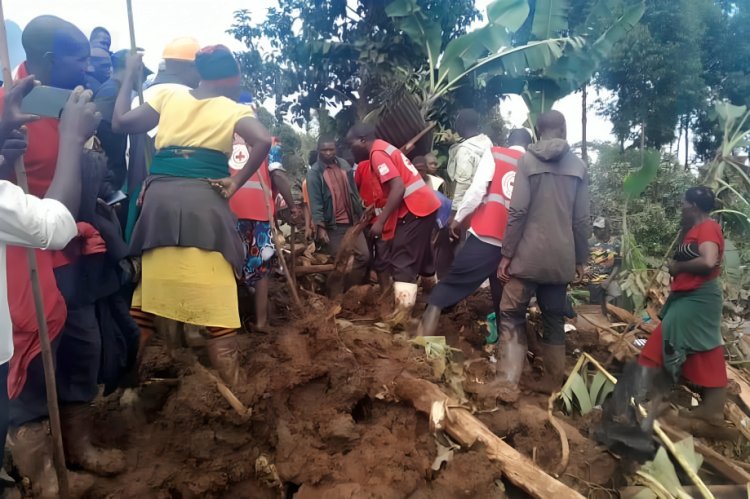 Landslide in Uganda leaves 113 missing and 15 dead