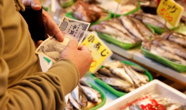 Japan's business sentiment rises slightly