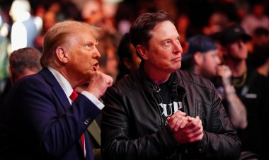 Trump team targets auto crash rule aiding Tesla