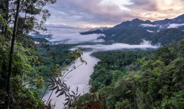Ecuador completes $1.5 billion debt swap for Amazon conservation