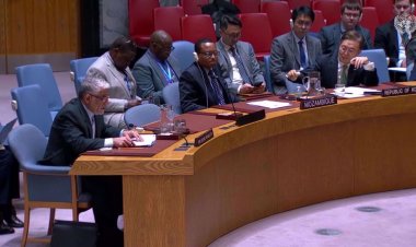 Canada's anti-Iran UNGA resolution gains 80 votes