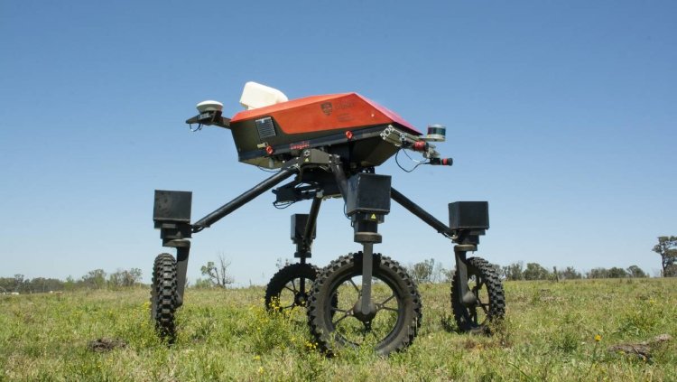 SwagBot aims to revolutionize cattle farming