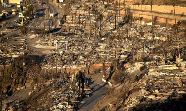 LA wildfires claim 25 lives, massive damage reported
