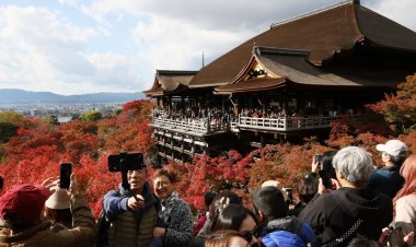 Japan sees record 36.9 million tourists in 2024