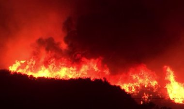 Wildfire near Los Angeles forces evacuations