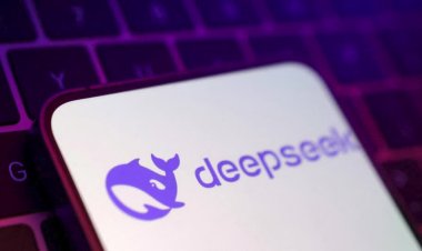 Chinese AI disruptor DeepSeek hits global markets