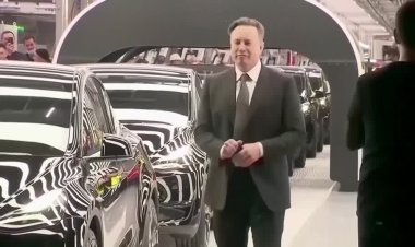 Tesla's profits fall short of Wall Street targets