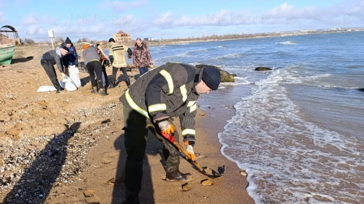 Oil spill emergency declared in Crimea