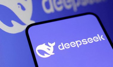 DeepSeek AI faces bans abroad, growth in China
