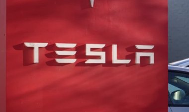 Musk cuts politics to refocus on Tesla