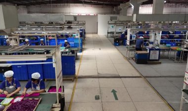 Chinese toy firm hit hard by U.S. tariffs