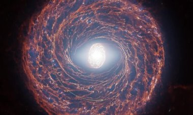 Milky Way show reveals Oort cloud spiral