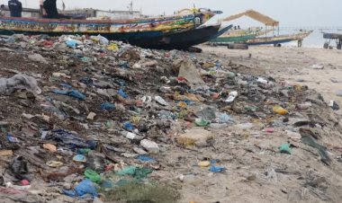 Volunteers clean Senegal's polluted beaches