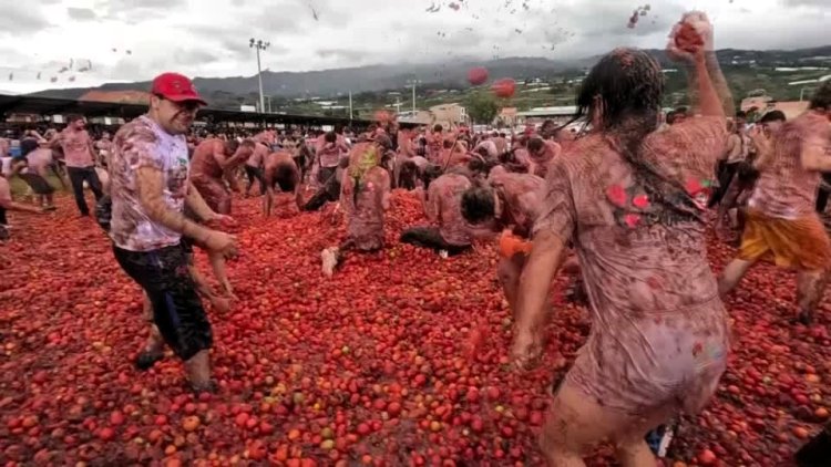 Tomatoes fly as festival returns in Colombia