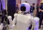 China's humanoid robot sector surges