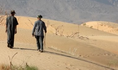 Algeria revives Green Dam project