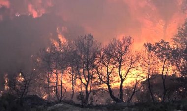 Wildfire rages in Catalonia's Pauls mountains