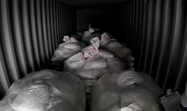 Peru seizes record mercury shipment