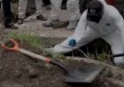 32 bodies found in Mexican mass grave
