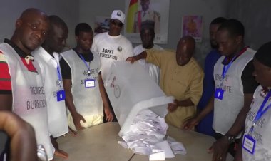 Guinea vote backs new constitution