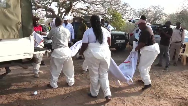 Kenya halts cult site exhumations for DNA tests