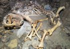 China unearths largest panda fossil site