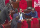 Tanzania appoints Nchemba as new prime minister