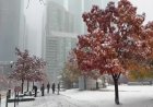 Toronto sees first snowfall of the season
