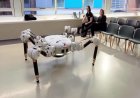 Robot Charlotte aims to rebuild the world