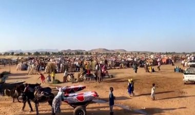 Thousands flee El Fasher amid clashes