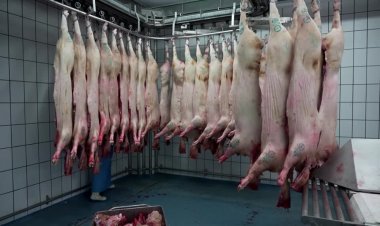 Britain halts pork imports from Spain