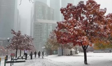 Toronto sees first snowfall of the season