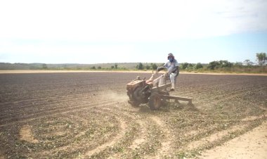 Trump revokes Brazil food tariffs