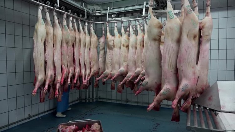 Britain halts pork imports from Spain