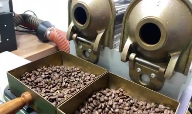 Brazil boosts quality of robusta coffee