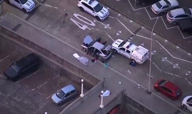 Shooting near Sydney beach kills 15