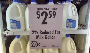 High prices test Trump support in rural Michigan