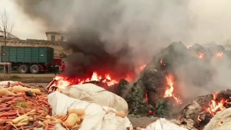French farmers block roads over cattle disease