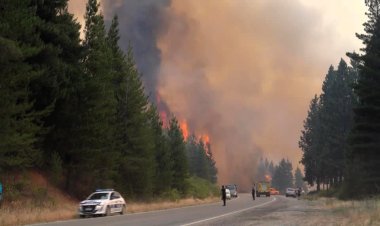 Wildfires spread across Argentina Patagonia