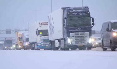 Snow brings Netherlands transport to halt
