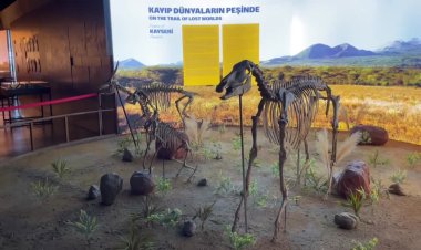 Türkiye recreates ancient megafauna with 3D tech