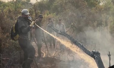 Wildfires threaten Patagonia towns in Argentina